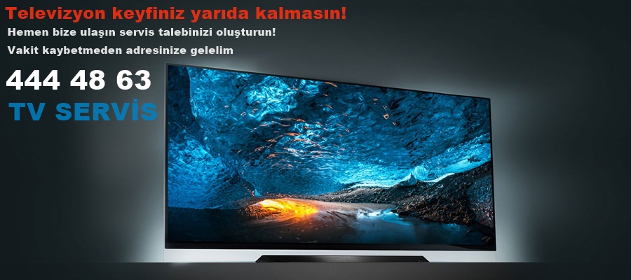 loewo televizyon servisi, loewetamiri, loewe bakımı, loewe montajı, loewe yetkili servisi,